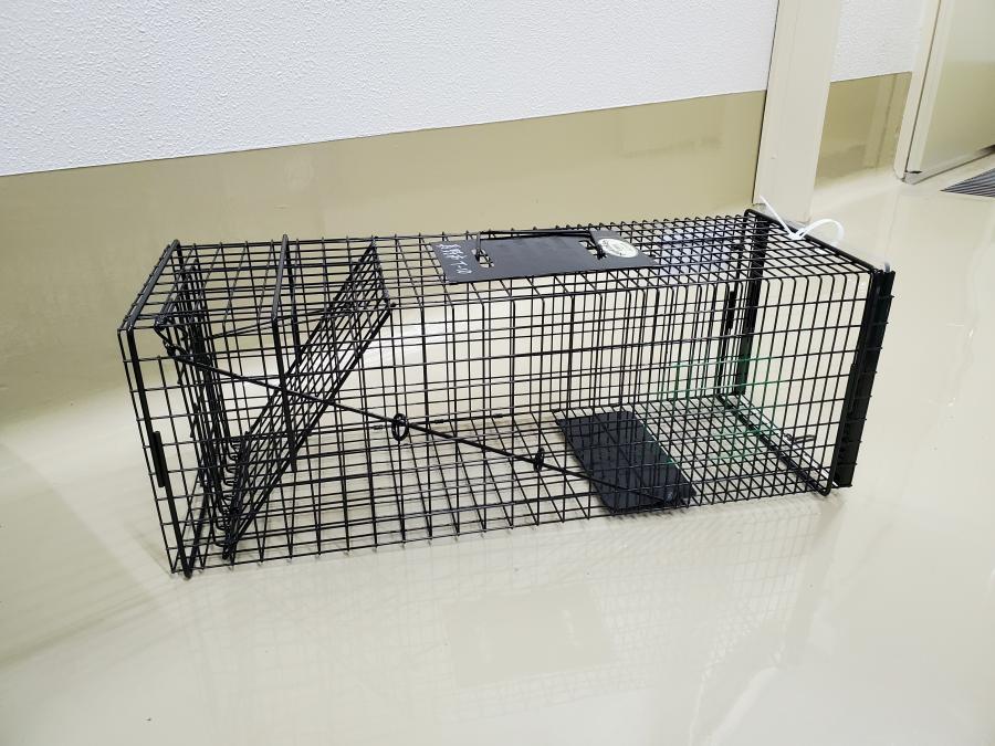 猫捕獲器の外観