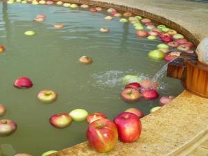 りんごの湯