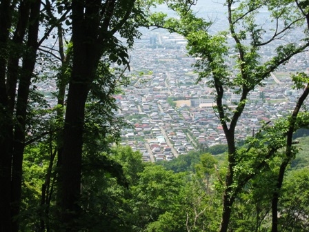 三登山コースの写真です。