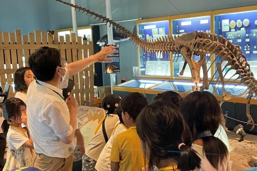 写真：信州新町化石博物館
