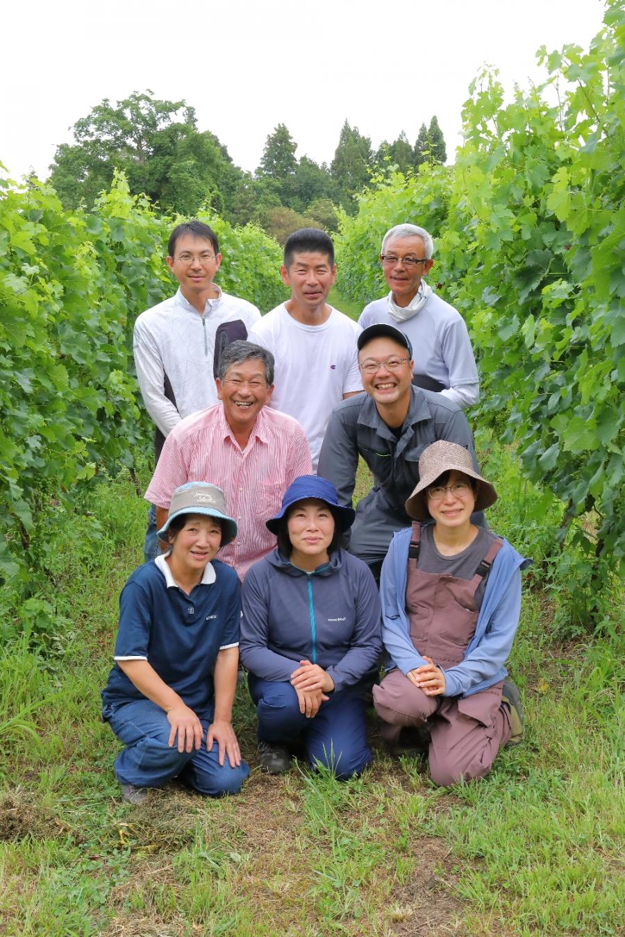 長野市産ワイン生産者画像