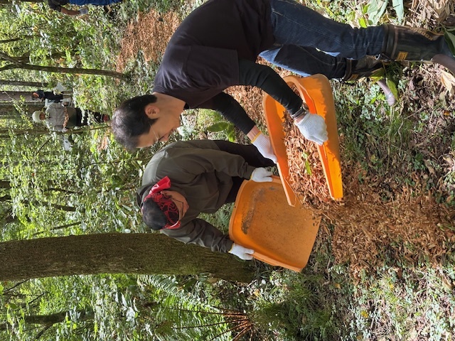 チップロード整備