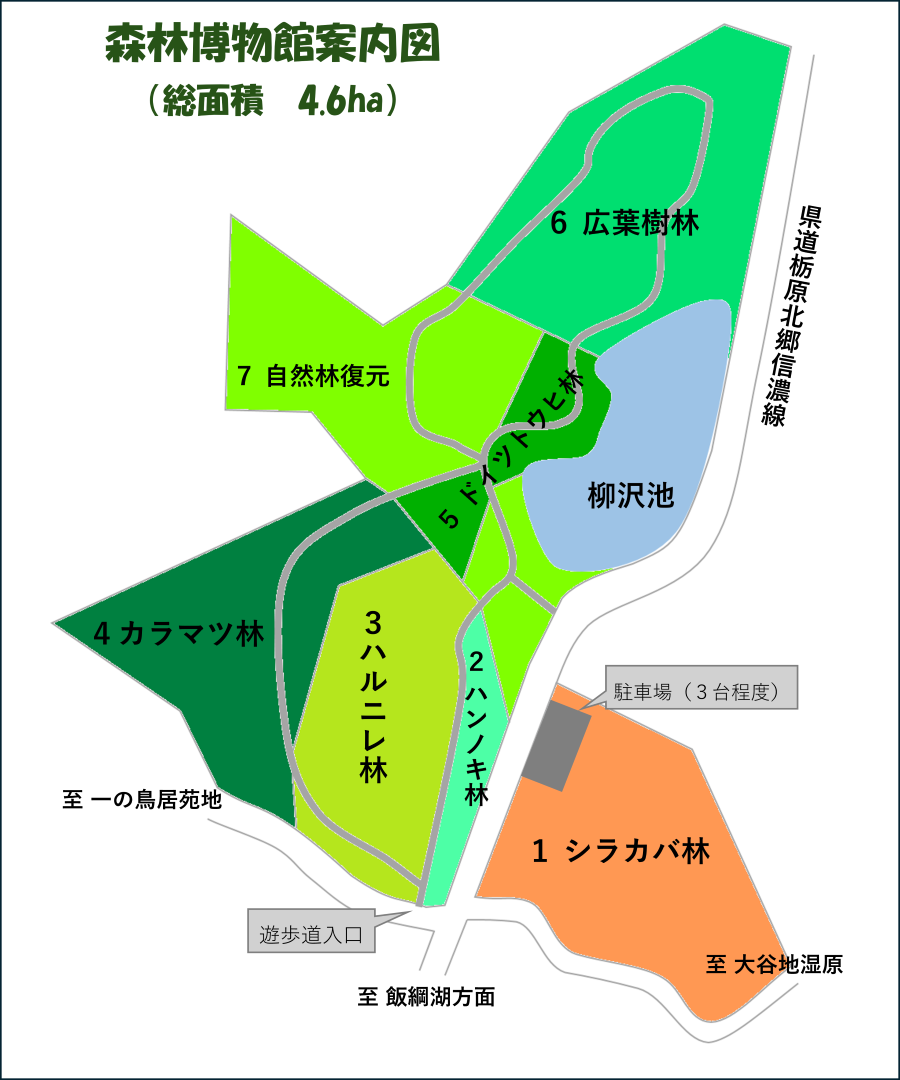 案内図（森林博物館）