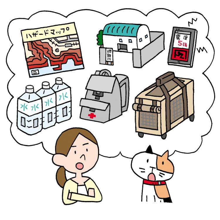猫のイラスト