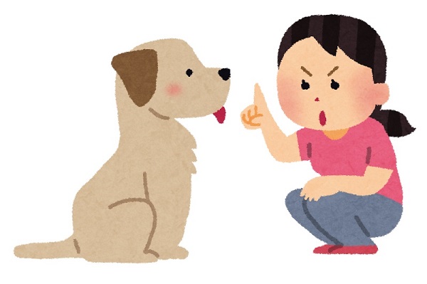 犬のしつけの画像