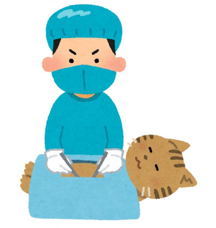 不妊手術