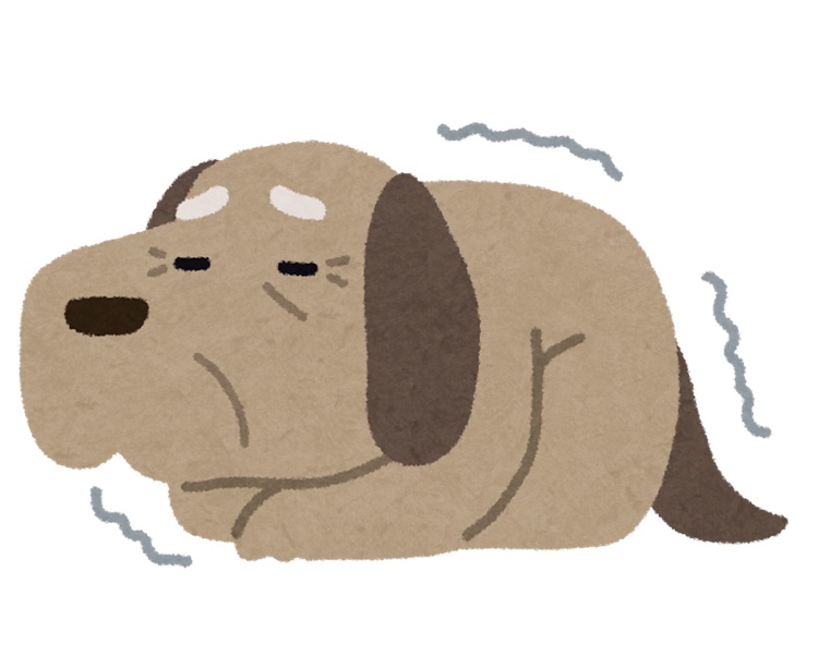老犬のイラスト