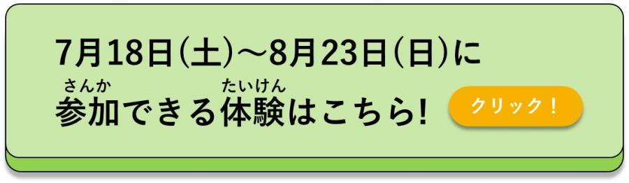 夏休みに参加できる体験