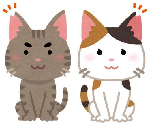 地域猫のイラスト