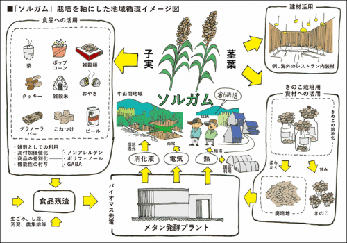 ソルガム循環モデル図