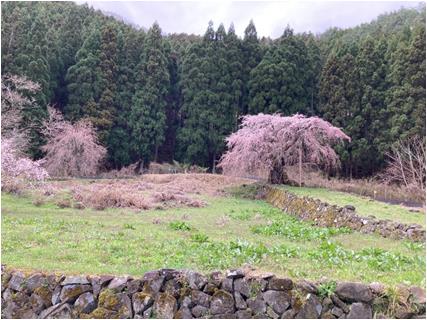 minwa_ho2