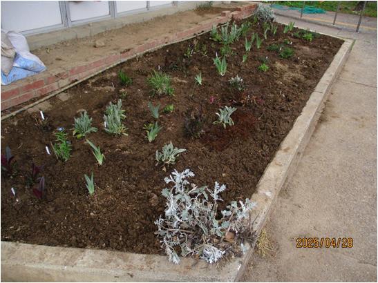 garden1-5