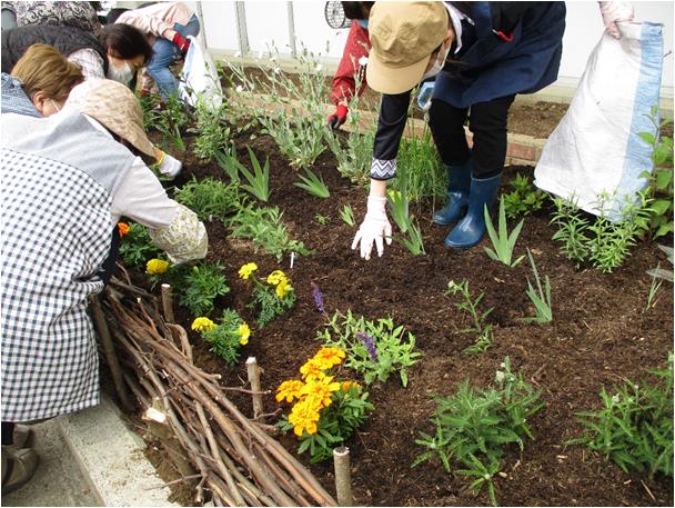 garden2-2