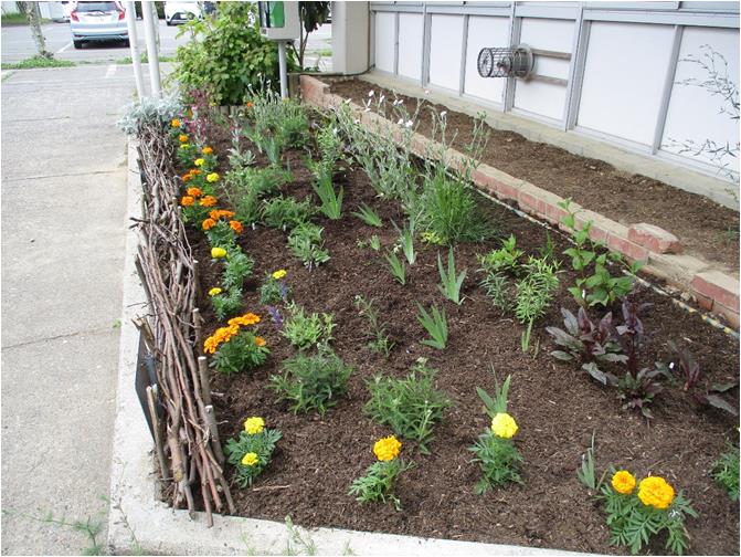 garden2-3