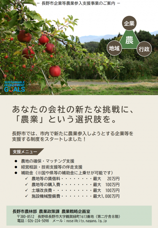 チラシ