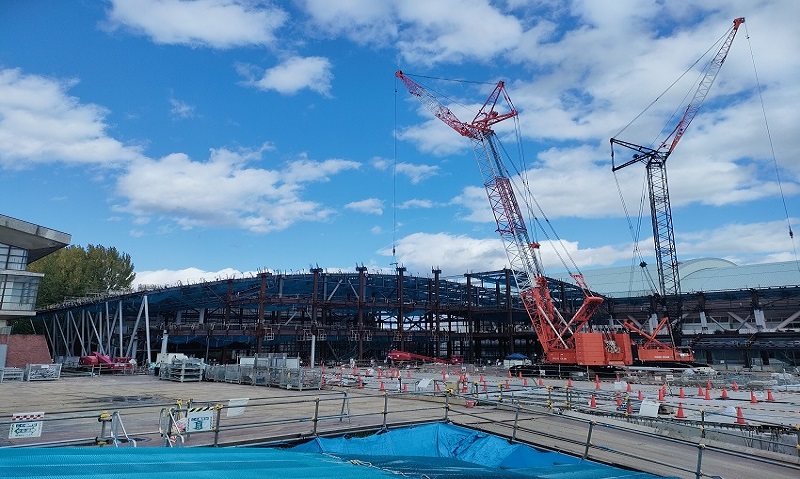 令和7年11月11日現在の様子全体