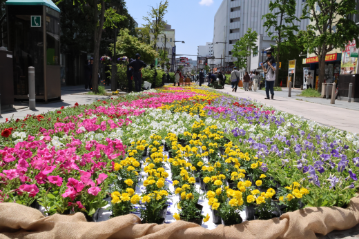花回廊