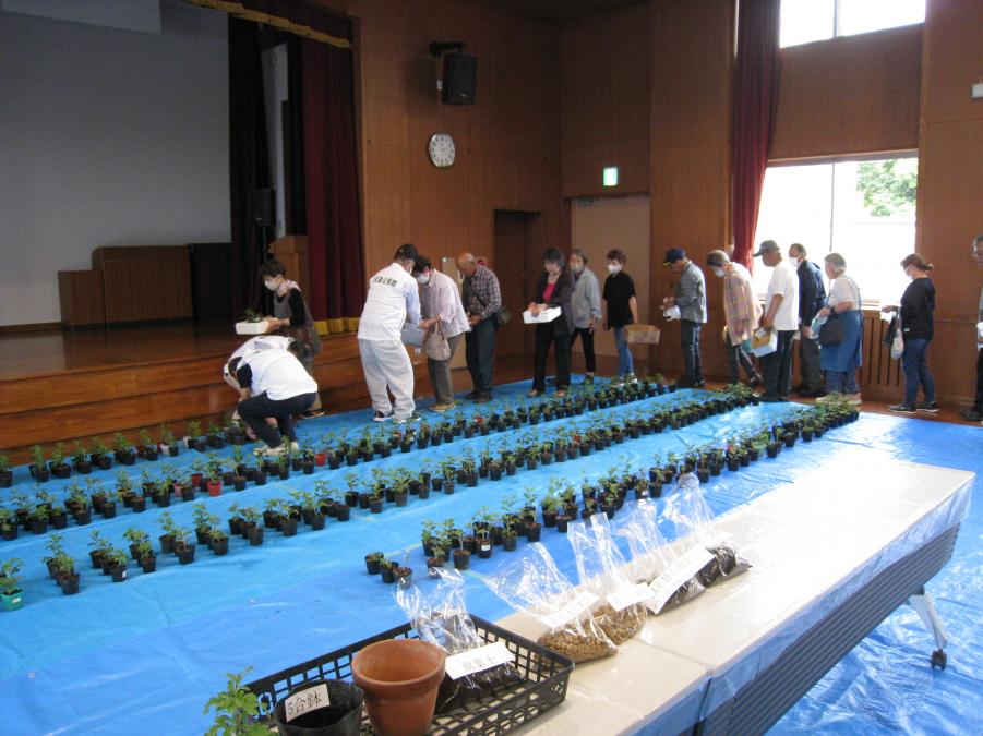 苗の前に並ぶ参加者
