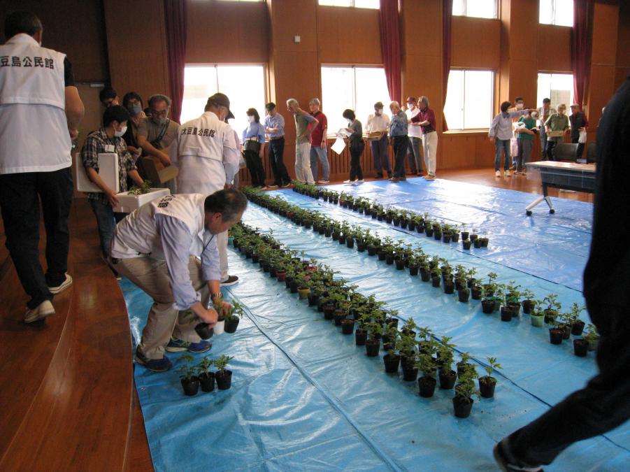 苗を渡す公民館本館職員