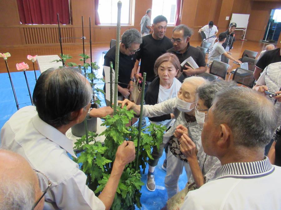 柳芽に集まり観察する参加者