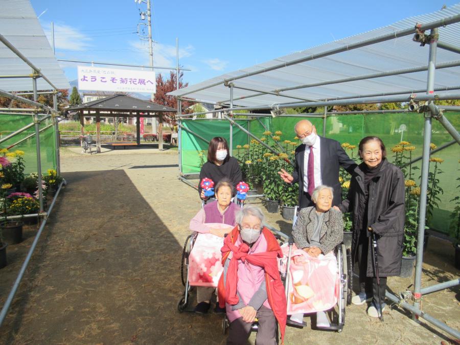 菊を愛でる人たち