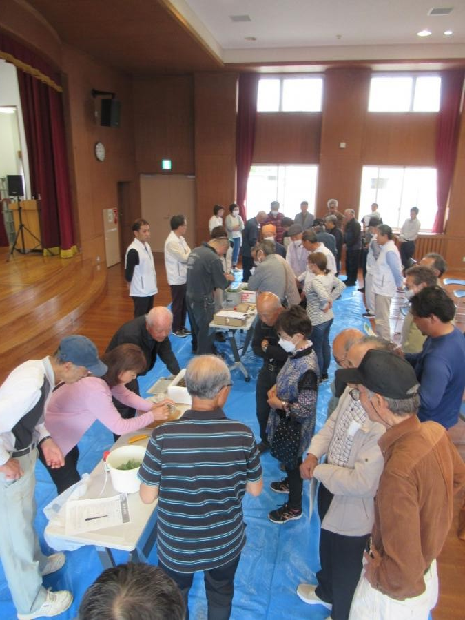 苗頒布