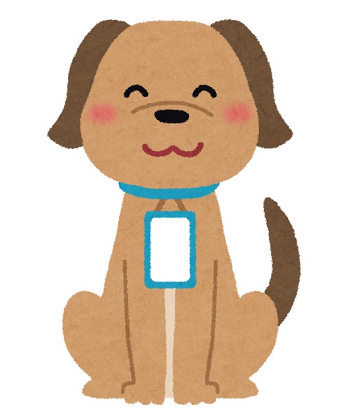 鑑札を付けた犬