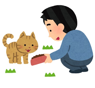 餌やり