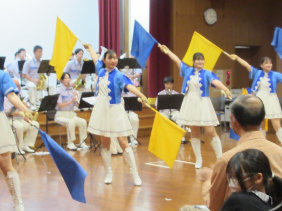 演奏と共にカラーガード隊が演技している様子
