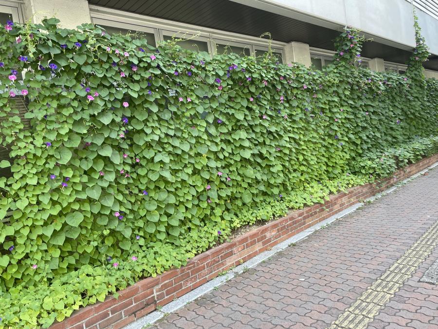 長野地域振興局