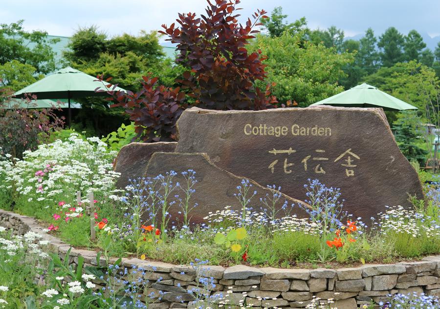 企業団体大賞