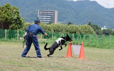 police