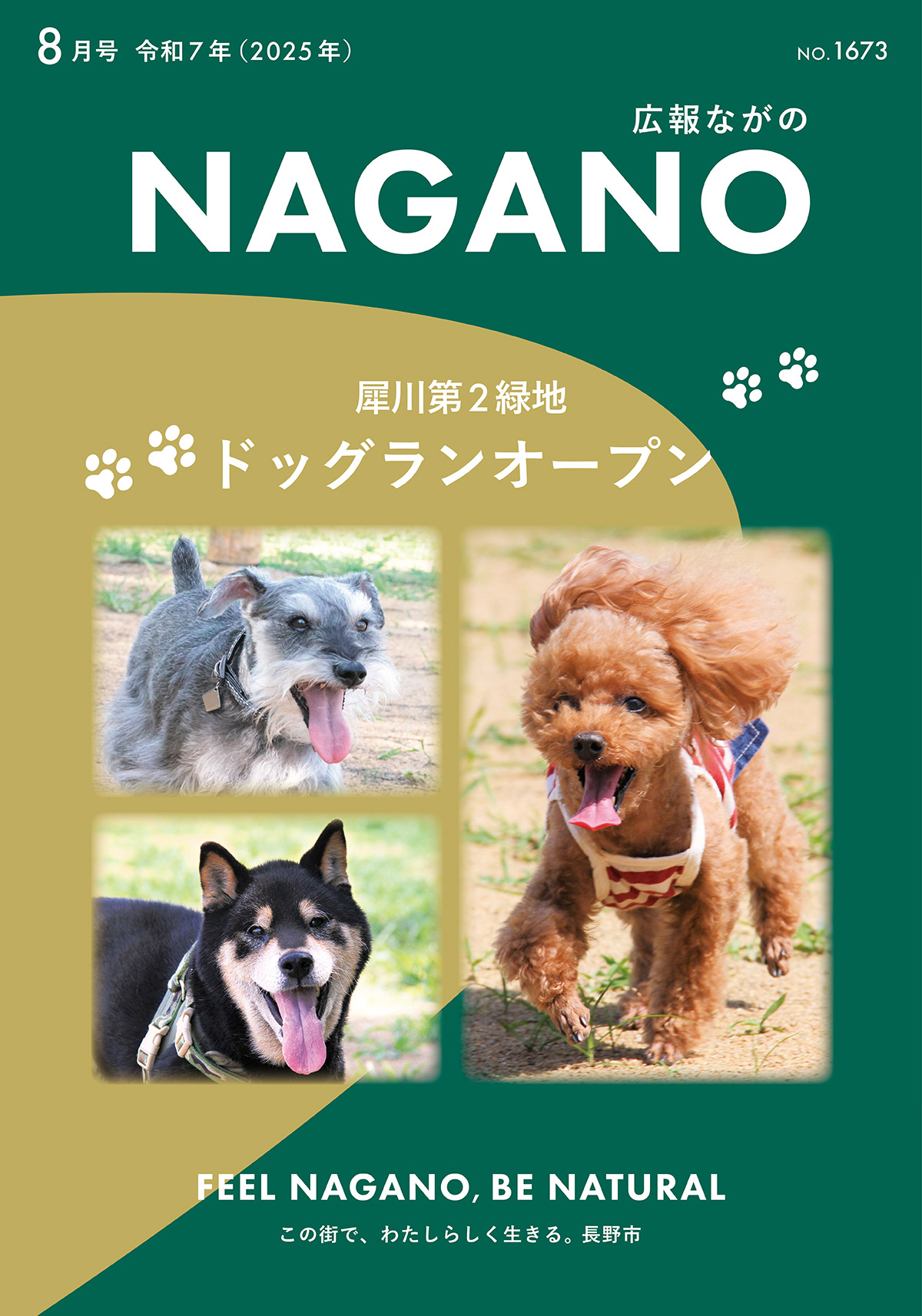 表紙の写真(犬)