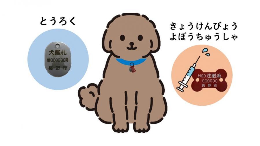 鑑札・狂犬病予防注射済票をつけた犬のイラスト