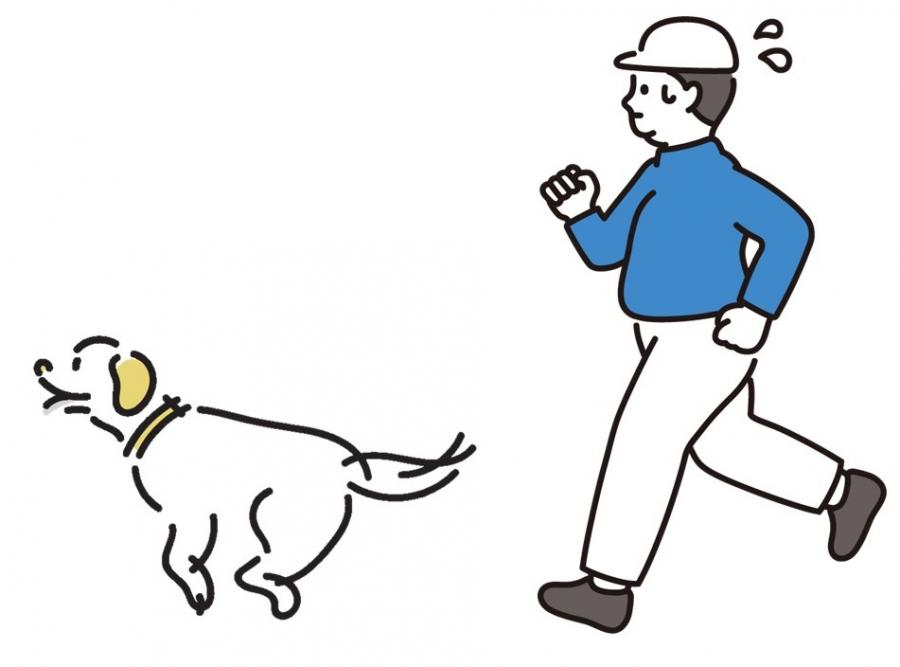 はなれている犬を保護するイラスト
