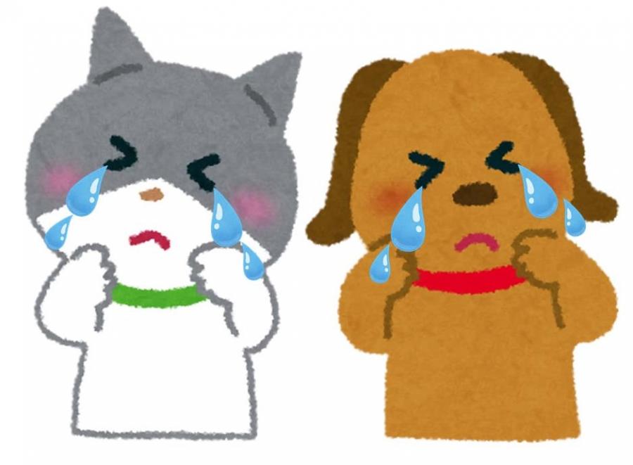 飼い主がかえなくなった犬猫のイラスト