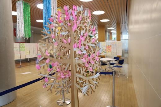 展示2