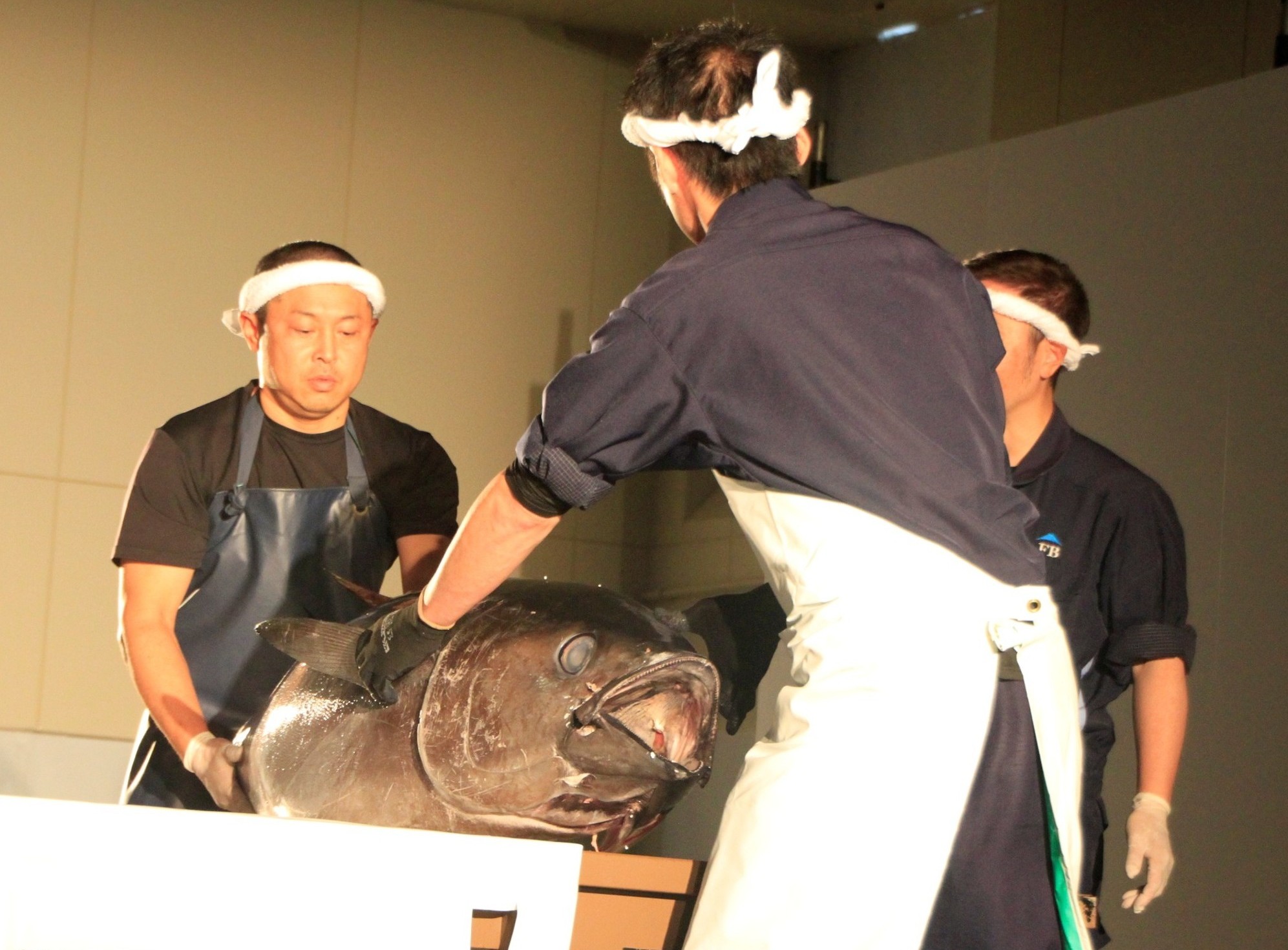 マグロ解体ショーの写真