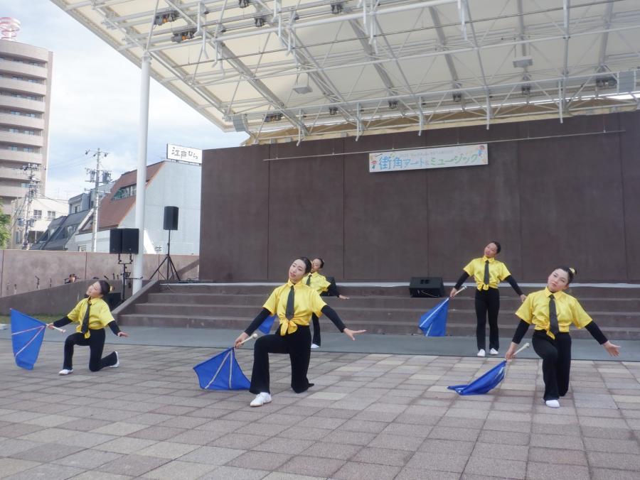 MIDORI トワールメイツ