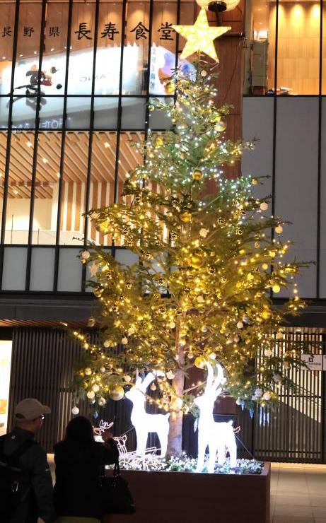 クリスマスツリー