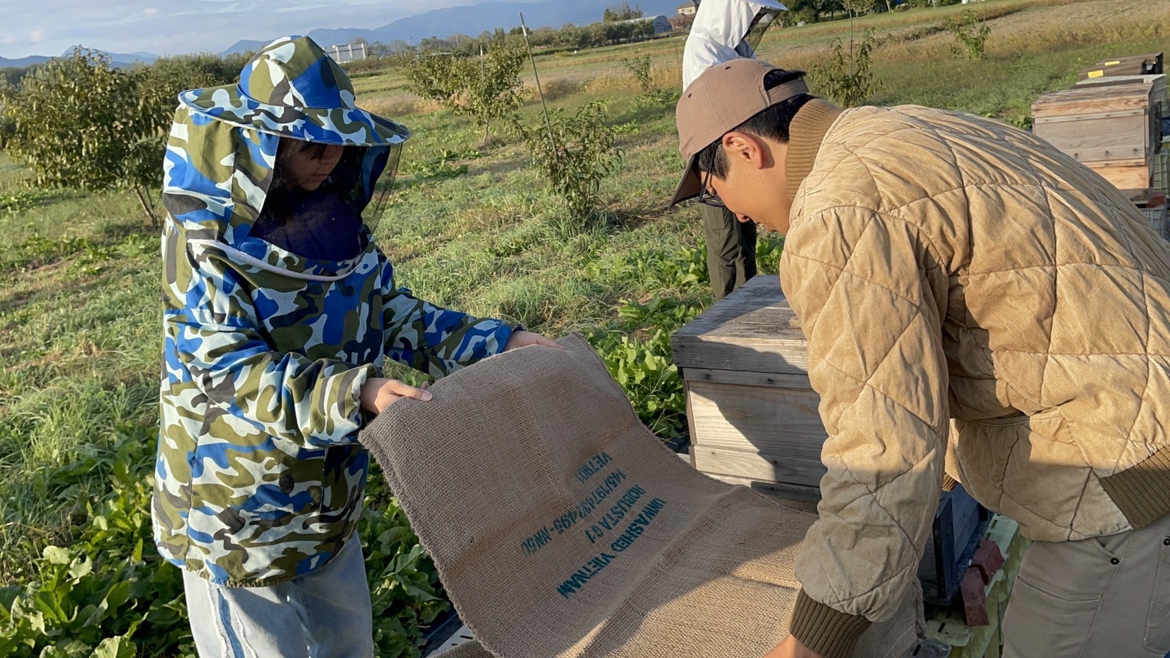 ミツバチの巣箱を見学