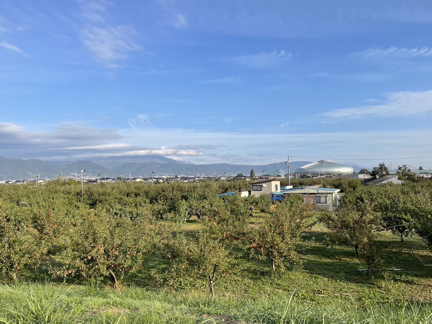 牧野農園とその周辺の様子