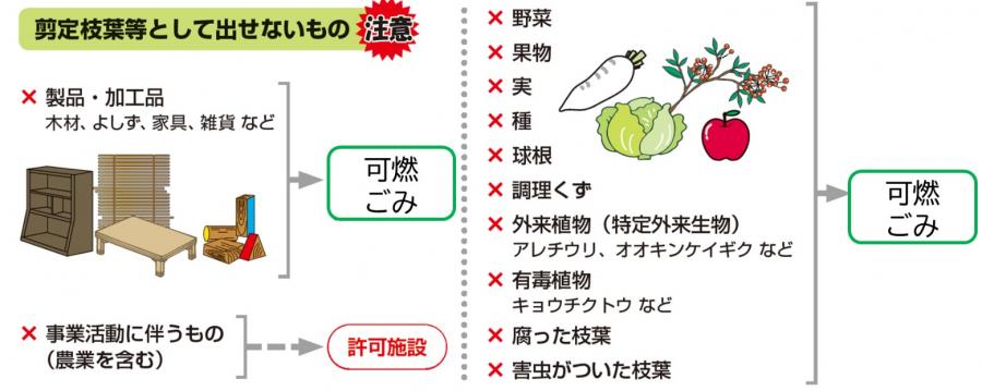 木製の製品・加工品、果物、実、種、球根や調理くず、外来植物や有毒植物、腐った枝葉や害虫がついた枝葉は可燃ごみへ