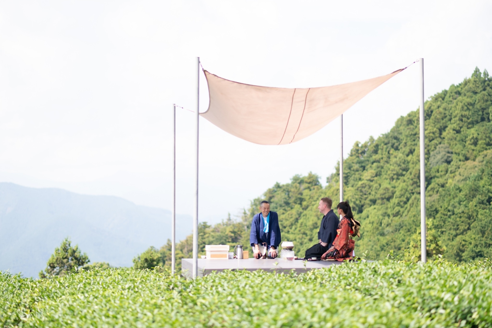 「茶畑のテラス」の写真