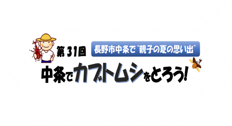 カブトムシをとろう