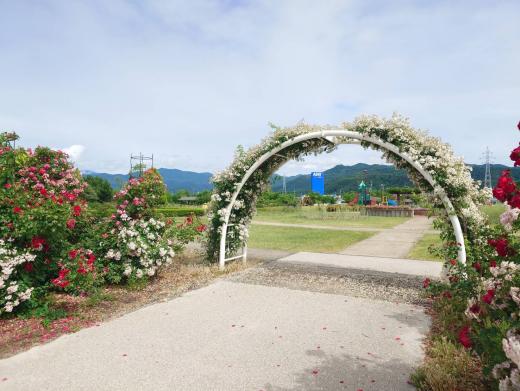 park