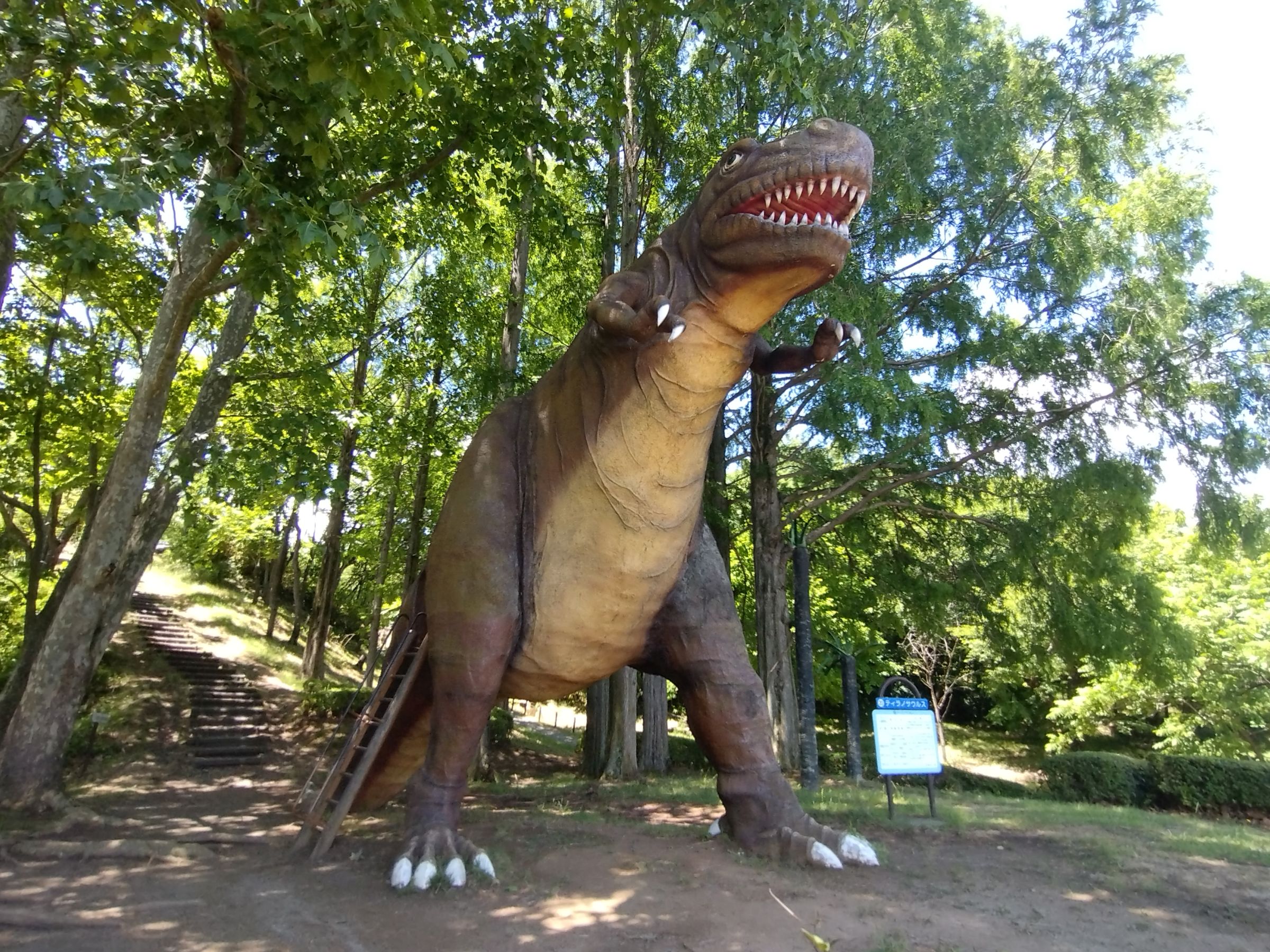 恐竜の写真