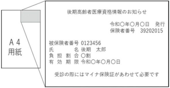 資格情報のお知らせの図