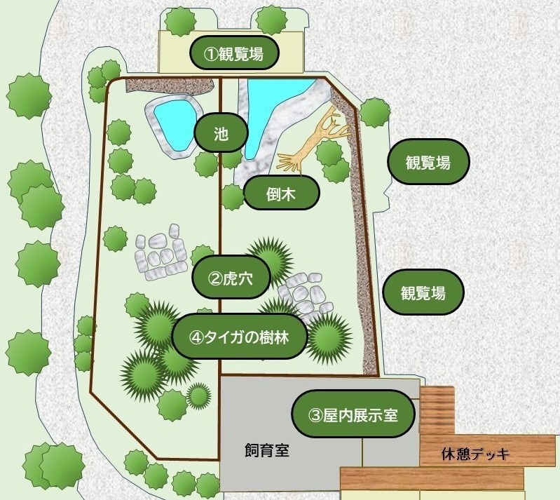 「アムールトラの森」の全体図