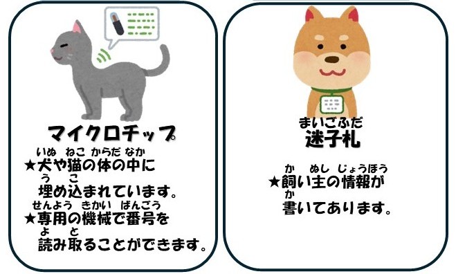 マイクロチップ及び迷子札のイラスト